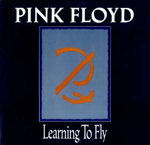 pink floyd learning to fly mp3 free download